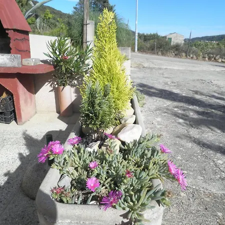 With Parking Space - Donja, Rab - 15423 *