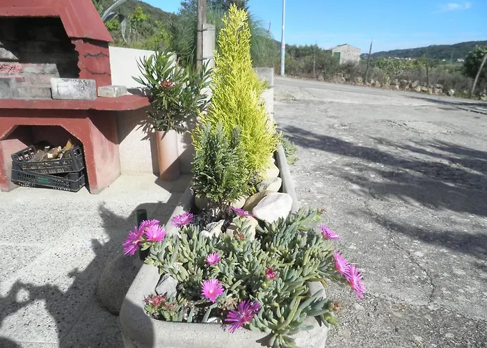 With Parking Space - Donja, Rab - 15423 *